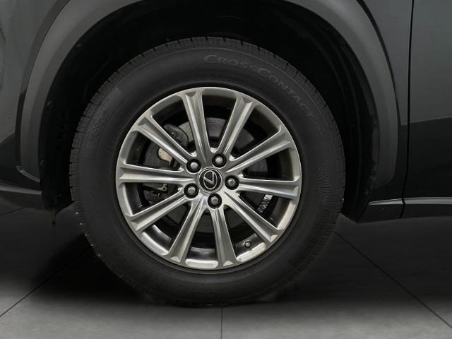 2020 Lexus NX 300 Vehicle Photo in Appleton, WI 54913