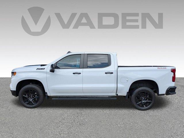 2024 Chevrolet Silverado 1500 Vehicle Photo in BRUNSWICK, GA 31525-1881