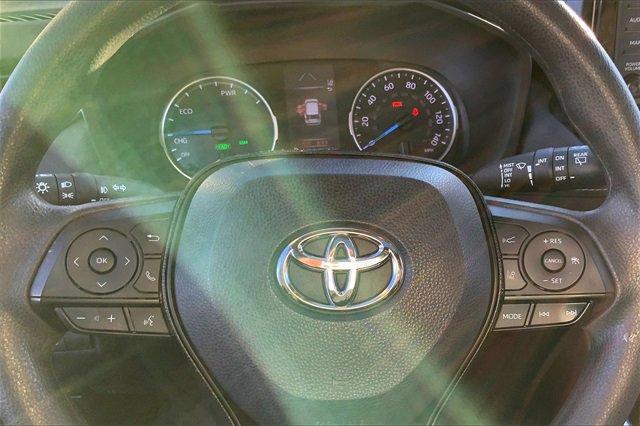 2019 Toyota RAV4 Vehicle Photo in INDEPENDENCE, MO 64055-1377