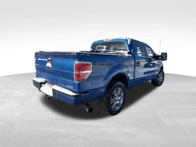 2014 Ford F-150 Vehicle Photo in MEDINA, OH 44256-9631