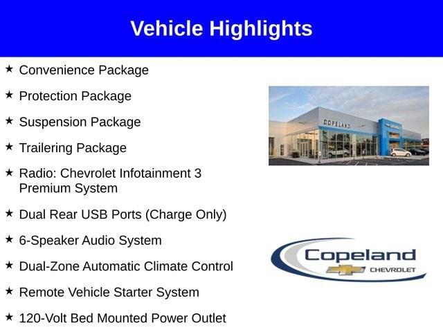 2025 Chevrolet Silverado 1500 Vehicle Photo in BROCKTON, MA 02301-7113