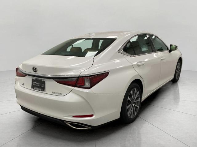 2022 Lexus ES 350 Vehicle Photo in Appleton, WI 54913