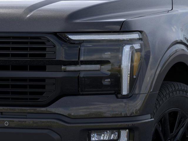 2024 Ford F-150 Vehicle Photo in Weatherford, TX 76087