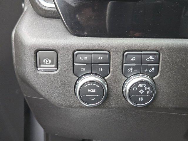 2024 GMC Sierra 1500 Vehicle Photo in Decatur, TX 76234