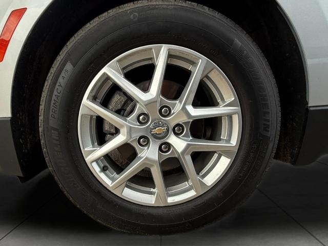 2022 Chevrolet Equinox Vehicle Photo in Appleton, WI 54914