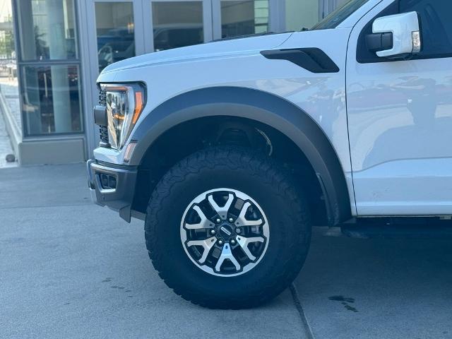 2022 Ford F-150 Vehicle Photo in San Antonio, TX 78230