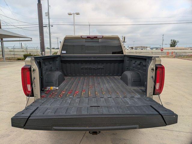 2023 GMC Sierra 1500 Vehicle Photo in SELMA, TX 78154-1459