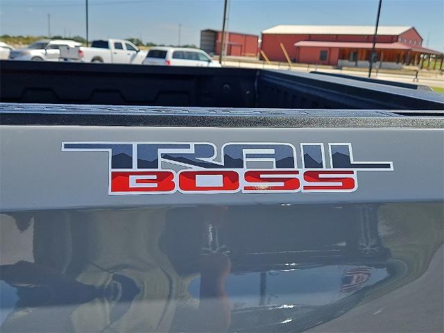 2024 Chevrolet Silverado 1500 Vehicle Photo in EASTLAND, TX 76448-3020
