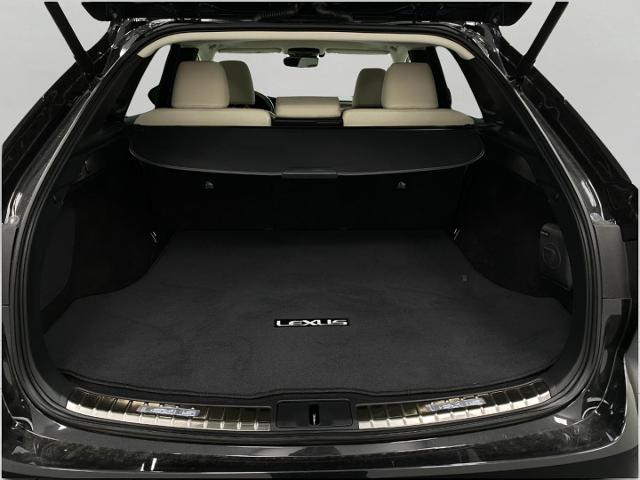 2023 Lexus RX 350 Vehicle Photo in Appleton, WI 54913