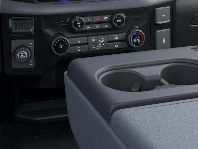 2025 Ford F-150 Vehicle Photo in Weatherford, TX 76087