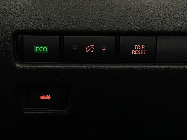2025 Nissan Sentra Vehicle Photo in Appleton, WI 54913