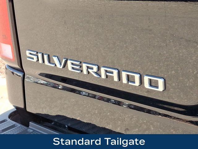 2024 Chevrolet Silverado 3500 HD Vehicle Photo in PAWLING, NY 12564-3219