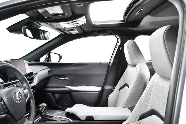 2024 Lexus UX 250h Vehicle Photo in DALLAS, TX 75235