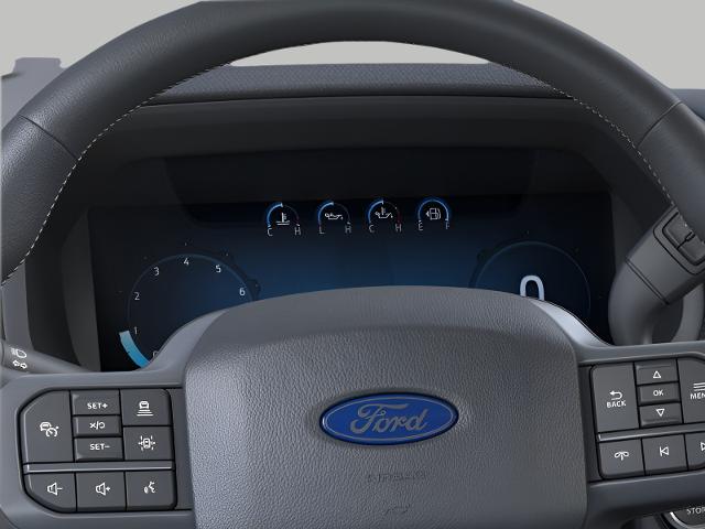 2025 Ford F-150 Vehicle Photo in Oshkosh, WI 54901