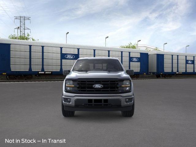 2025 Ford F-150 Vehicle Photo in Weatherford, TX 76087
