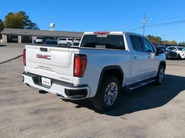 2025 GMC Sierra 1500 Vehicle Photo in ALBERTVILLE, AL 35950-0246