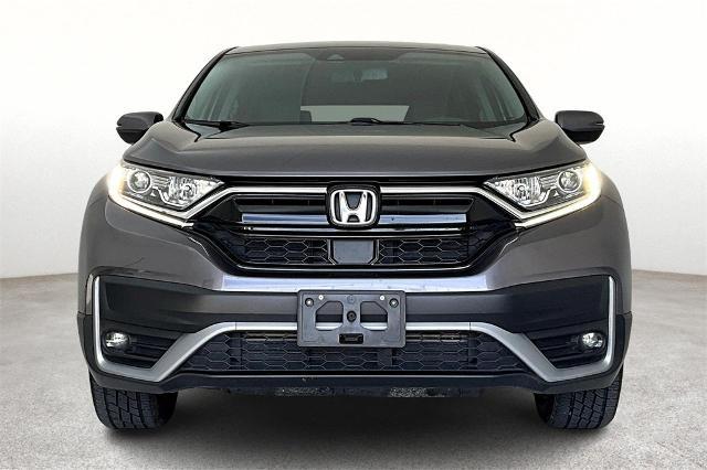 2022 Honda CR-V Vehicle Photo in San Antonio, TX 78230