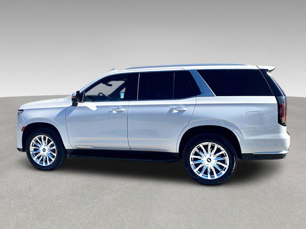 2023 Cadillac Escalade Vehicle Photo in SAVANNAH, GA 31406-4513