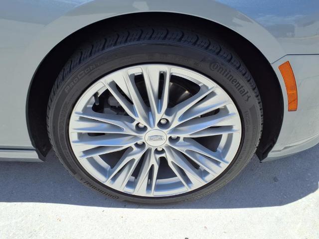 2023 Cadillac CT4 Vehicle Photo in Tampa, FL 33612