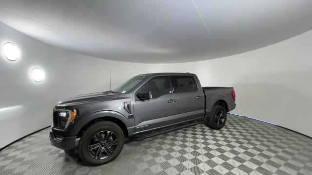 2022 Ford F-150 Vehicle Photo in GILBERT, AZ 85297-0402