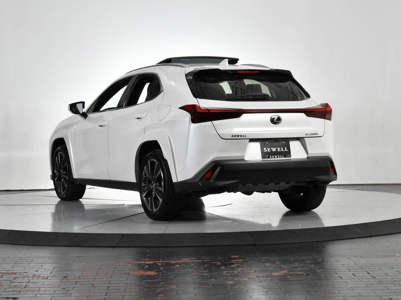 2024 Lexus UX 250h Vehicle Photo in DALLAS, TX 75235