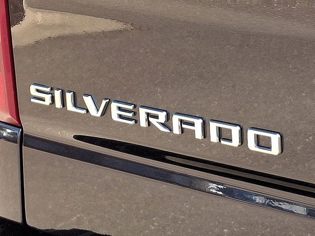 2022 Chevrolet Silverado 1500 Vehicle Photo in DANBURY, CT 06810-5034