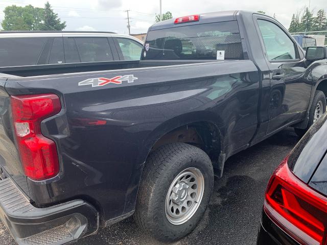 2024 Chevrolet Silverado 1500 Vehicle Photo in APPLETON, WI 54914-4656