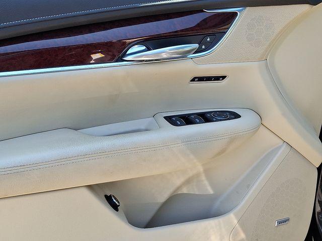 2019 Cadillac XT5 Vehicle Photo in DANBURY, CT 06810-5034