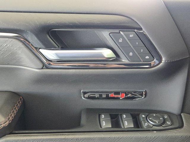 2024 GMC Sierra 1500 Vehicle Photo in Decatur, TX 76234