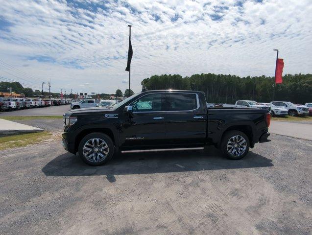 2025 GMC Sierra 1500 Vehicle Photo in ALBERTVILLE, AL 35950-0246