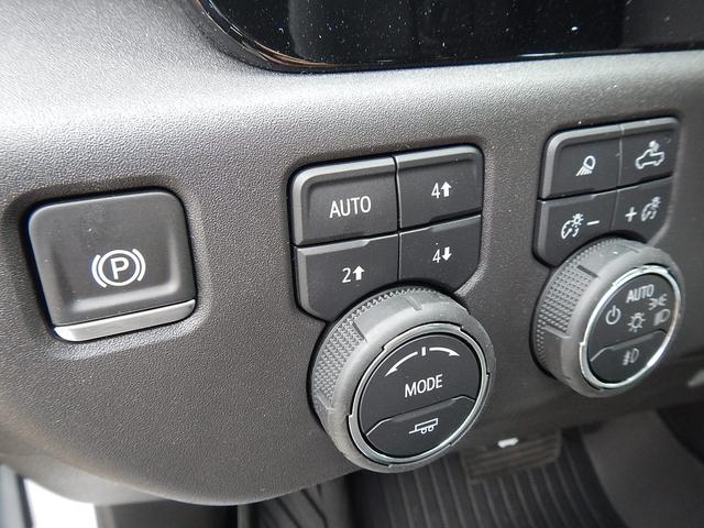 2025 Chevrolet Silverado 1500 Vehicle Photo in JASPER, GA 30143-8655