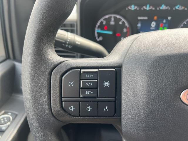2025 Ford Super Duty F-350 DRW Vehicle Photo in Webster, MA 01570-1415