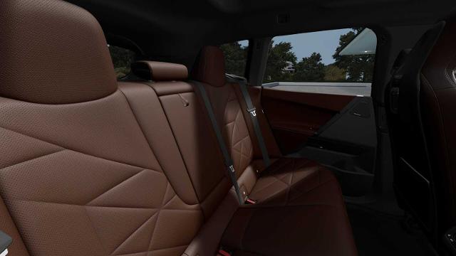 2025 BMW iX Vehicle Photo in GRAPEVINE, TX 76051