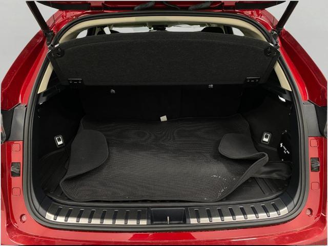 2019 Lexus NX 300 Vehicle Photo in Appleton, WI 54913