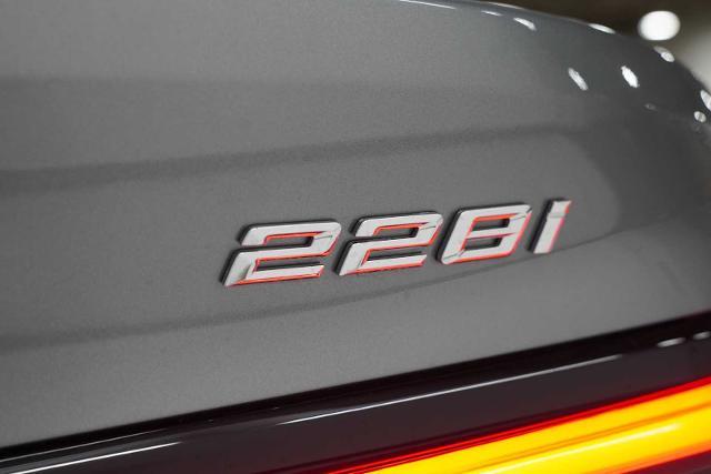 2024 BMW 228i xDrive Vehicle Photo in GRAPEVINE, TX 76051