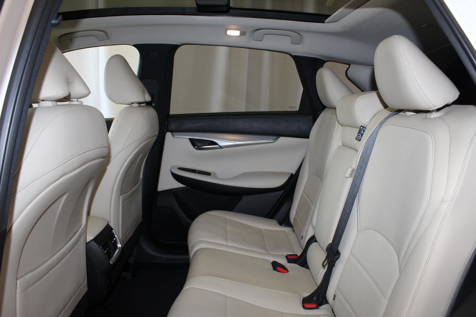2020 INFINITI QX50 Vehicle Photo in NORTHAMPTON, MA 01060-1120