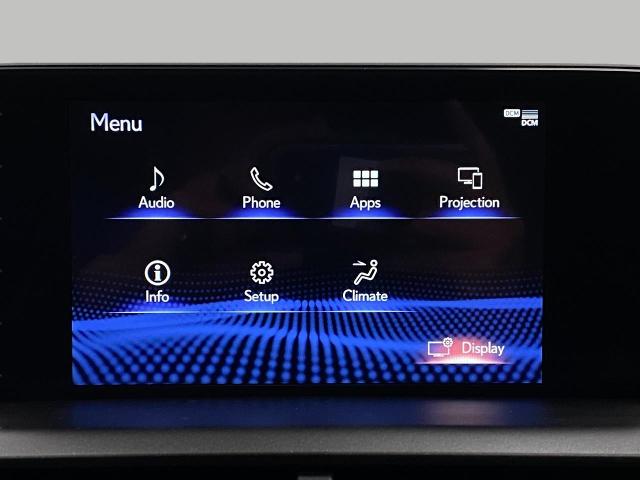 2020 Lexus NX 300 Vehicle Photo in Appleton, WI 54913