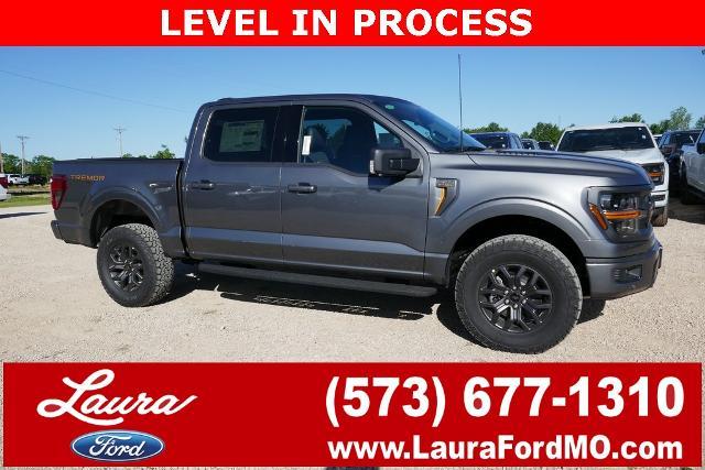 2025 Ford F-150 Vehicle Photo in Sullivan, MO 63080