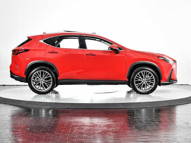 2023 Lexus NX 350 Vehicle Photo in DALLAS, TX 75235