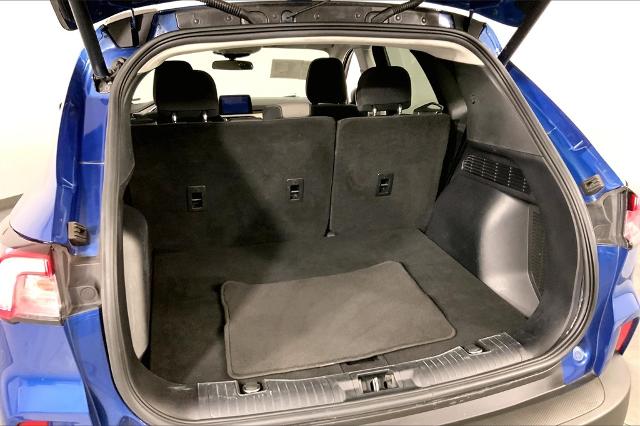 2022 Ford Escape Vehicle Photo in Lees Summit, MO 64086