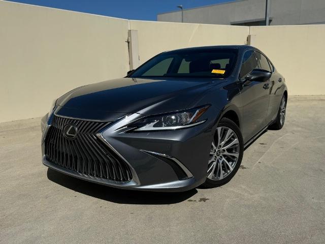 2019 Lexus ES 350 Vehicle Photo in San Antonio, TX 78230