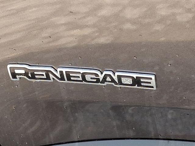 2019 Jeep Renegade Vehicle Photo in PAWLING, NY 12564-3219