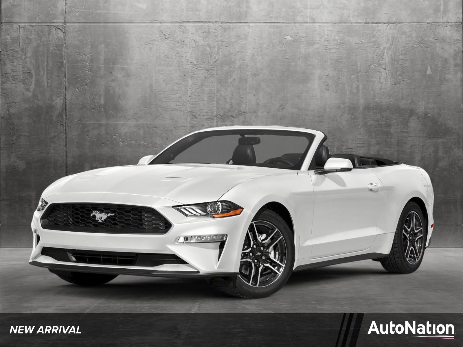 2019 Ford Mustang Vehicle Photo in Clearwater, FL 33764