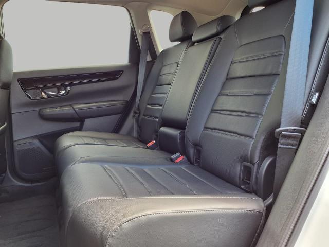 2026 Honda CR-V Vehicle Photo in Oshkosh, WI 54904