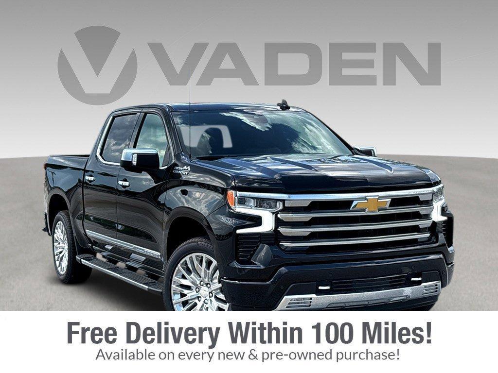 2024 Chevrolet Silverado 1500 Vehicle Photo in POOLER, GA 31322-3252