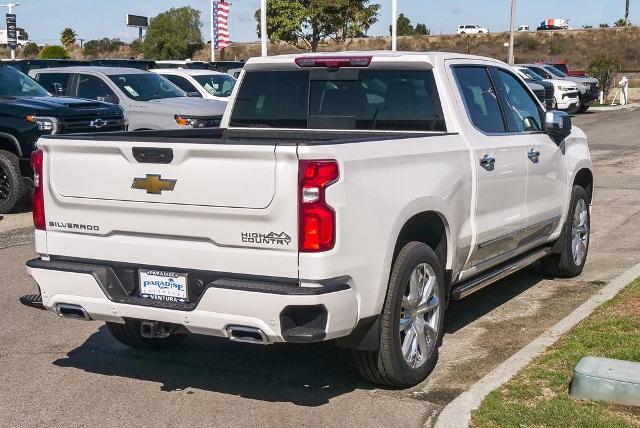 2025 Chevrolet Silverado 1500 Vehicle Photo in VENTURA, CA 93003-8585