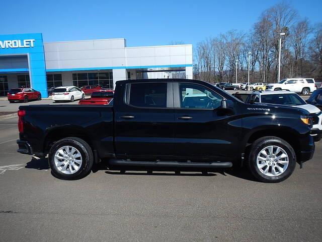 2025 Chevrolet Silverado 1500 Vehicle Photo in JASPER, GA 30143-8655