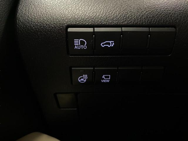 2022 Lexus RX 350 Vehicle Photo in Appleton, WI 54913