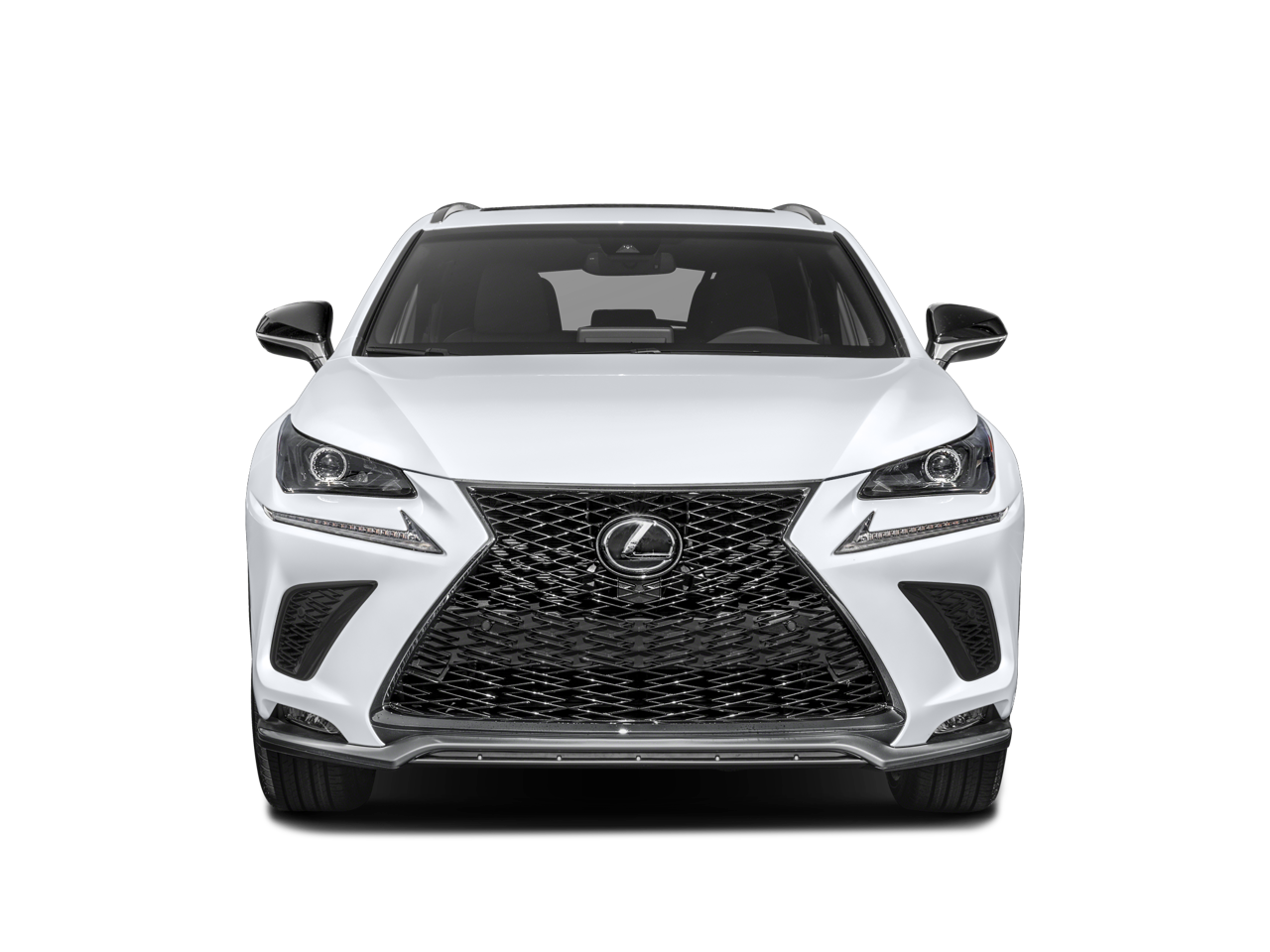 2020 Lexus NX 300 Vehicle Photo in Tulsa, OK 74129