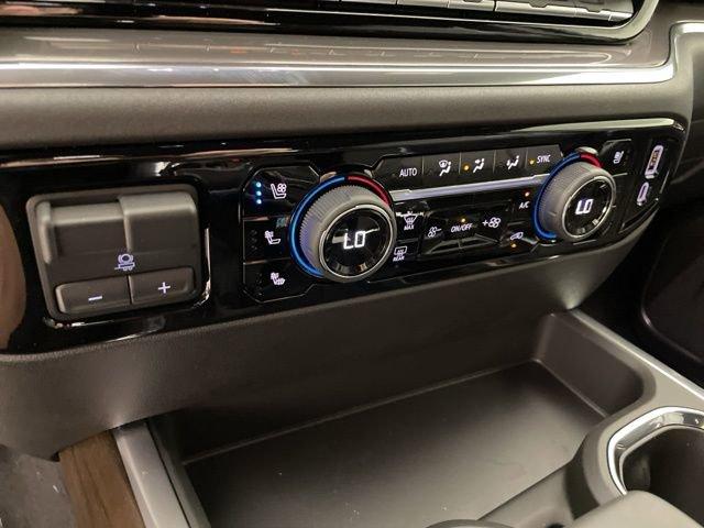 2025 Chevrolet Silverado 1500 Vehicle Photo in PHOENIX, AZ 85014-3381